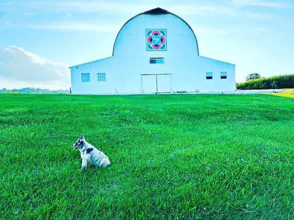 Ramble at the Randall 2025: Kentucky’s Best Americana Barn Show